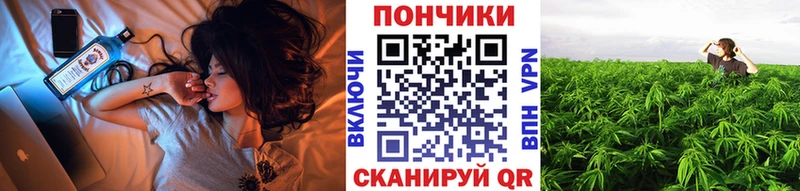 LSD-25 Куртамыш