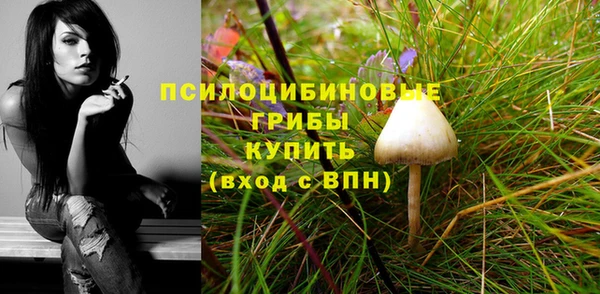 бутират Каменка