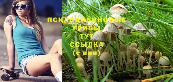бутират Каменка