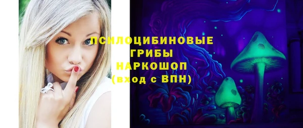 бутират Каменка