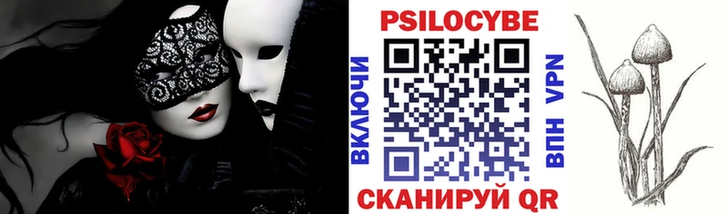 Галлюциногенные грибы MAGIC MUSHROOMS  Куртамыш 